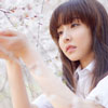 易菁蘋(píng)