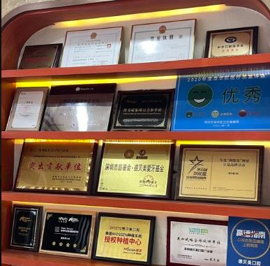 深圳德貝美景龍口腔門診部醫(yī)生榮譽(yù)