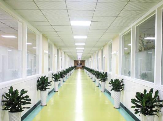 北海牙博士口腔門診部走廊
