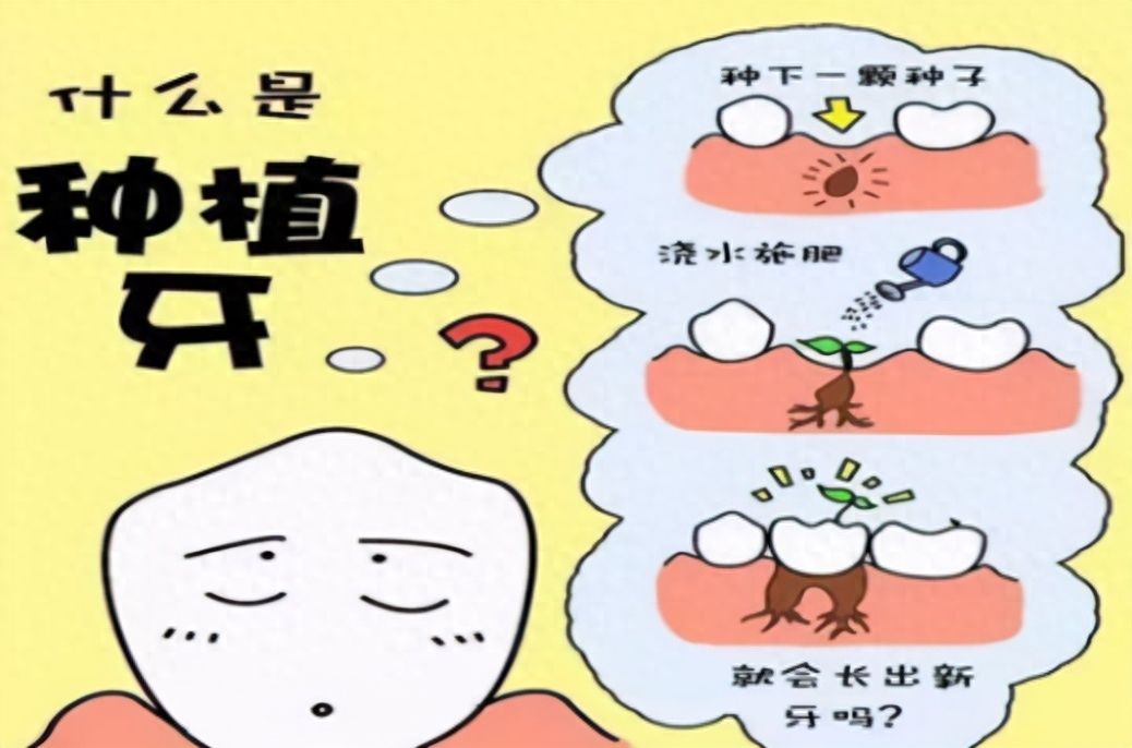 http://www.rmcbs.cn/d/file/price/06zzszynq6ls.jpg