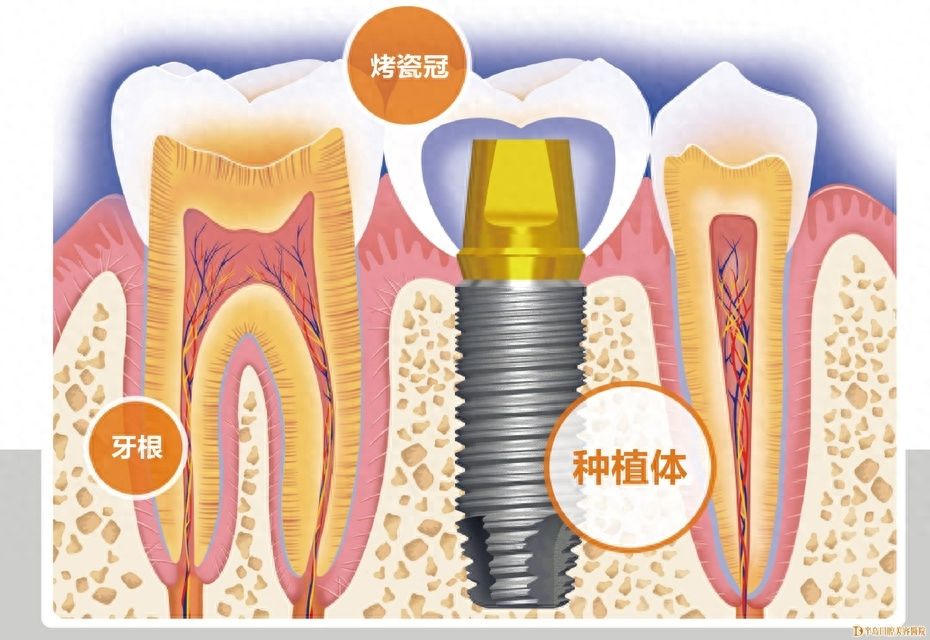 http://www.rmcbs.cn/d/file/price/2orixnjegh31.jpg