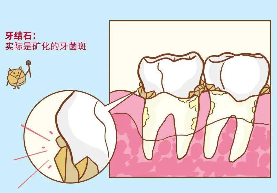http://www.rmcbs.cn/d/file/price/8KCWT8SYFB.jpg