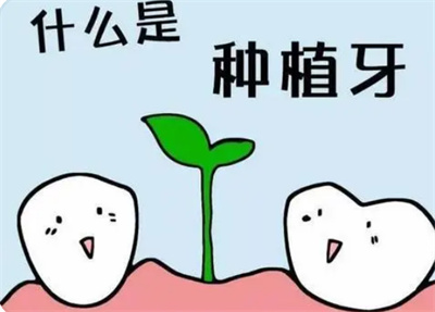 http://www.rmcbs.cn/d/file/price/N0A9J0SGDS.jpg