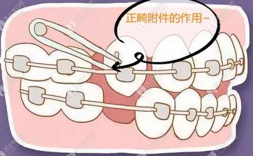 http://www.rmcbs.cn/d/file/price/b1iy1mugt2id.jpg