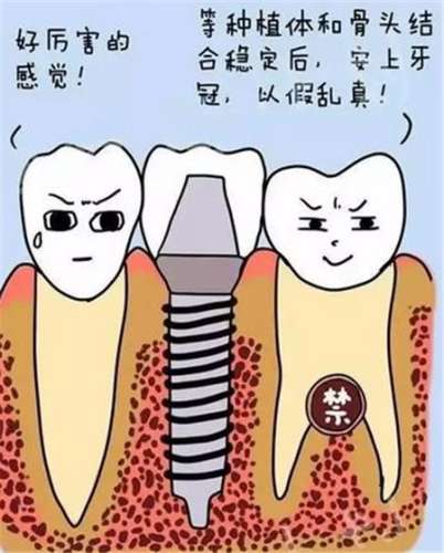 http://www.rmcbs.cn/d/file/price/dr619uthzmkv.jpg