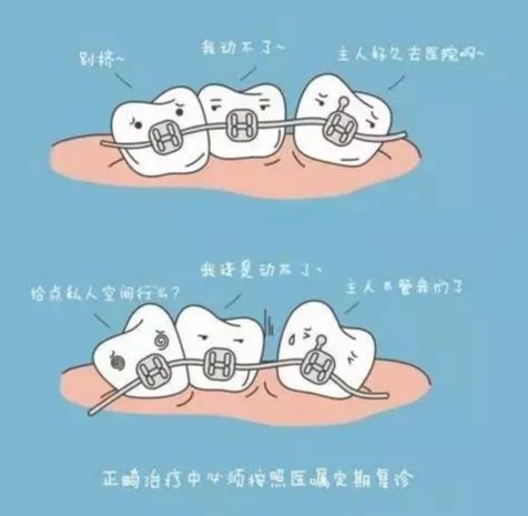 http://www.rmcbs.cn/d/file/price/dxqdf8g1b9rp.jpg