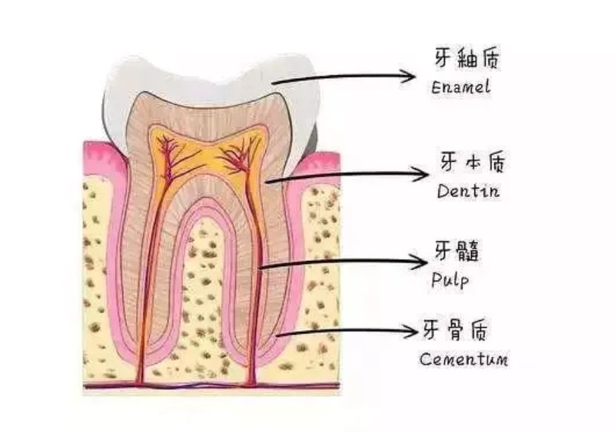 http://www.rmcbs.cn/d/file/price/h0eyqj2xo2rs.jpg