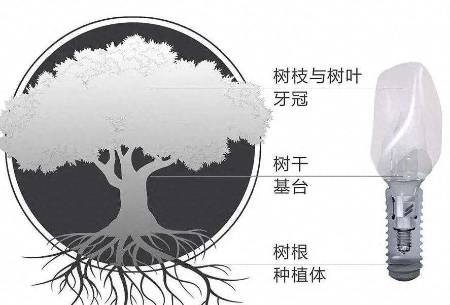 http://www.rmcbs.cn/d/file/price/i79hatqc3gez.jpg