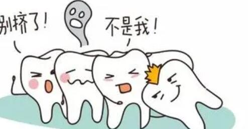 http://www.rmcbs.cn/d/file/price/jjg8ovq7k9.jpg