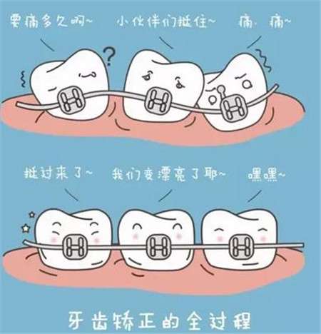 http://www.rmcbs.cn/d/file/price/kllp2nlz66st.jpg
