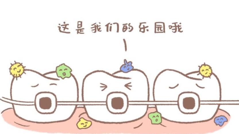 http://www.rmcbs.cn/d/file/price/oyaw9sgabz77.jpg