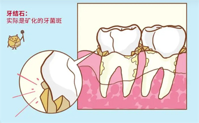http://www.rmcbs.cn/d/file/price/sd2tesja88.jpg