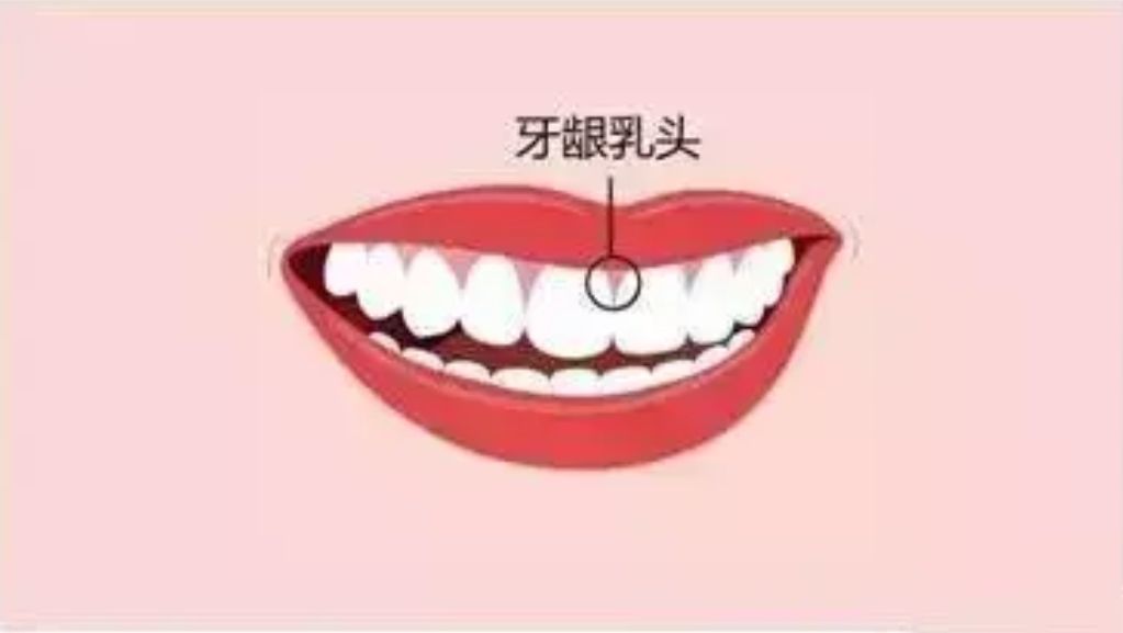 http://www.rmcbs.cn/d/file/price/t3lh59siej7s.jpg