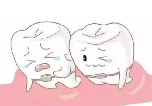 http://www.rmcbs.cn/d/file/price/wc5cx6n9jrg9.jpg