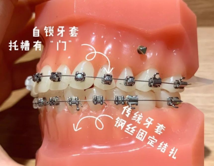 http://www.rmcbs.cn/d/file/price/x9jszyik7jil.jpg