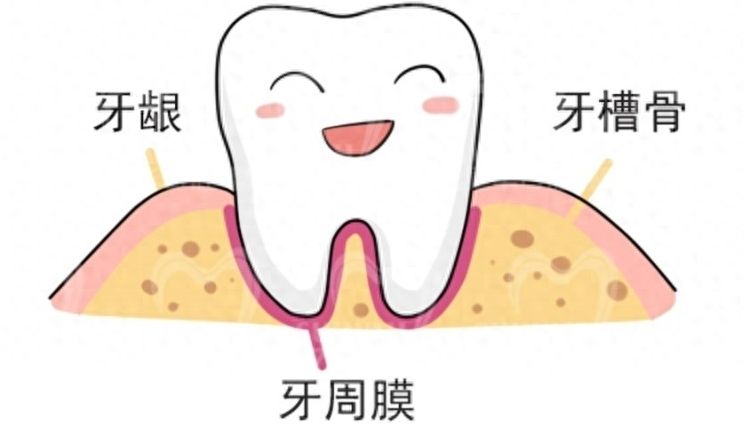西安口腔醫(yī)院牙齒矯正整形排名及價格詳解