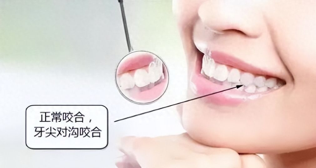 http://www.rmcbs.cn/d/file/price/yuvjhdh2zzib.jpg