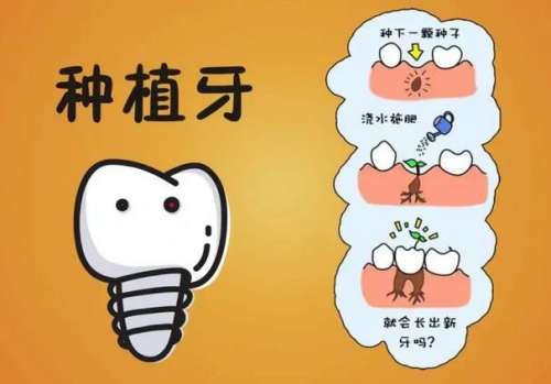 http://www.rmcbs.cn/d/file/rank/g1w356ldk9aj.jpg